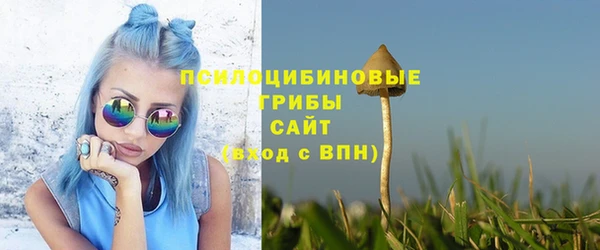 бутират Баксан