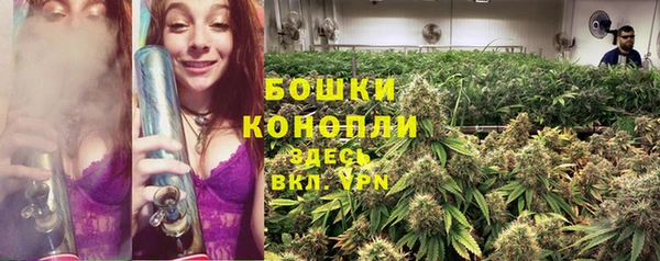 каннабис Новодвинск