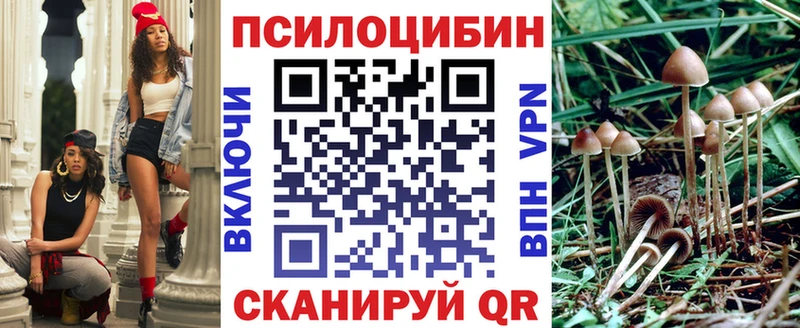 Псилоцибиновые грибы мицелий Шуя